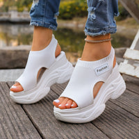 Summer Fishmouth Chunky Wedge Sandals Women's Casual Breathable Footwear Daily Shoes