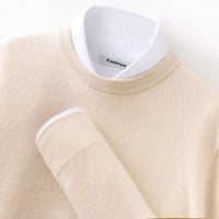 Men's Long Sleeve Pullover Business Casual Sweater Autumn And Winter Wild Thickened