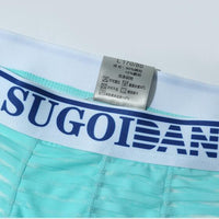 Striped Transparent Sexy Underwear Boxers