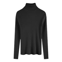 Thickening Inner Wear Skinny Versatile Long Sleeve Thermal Turtleneck Sweater For Women
