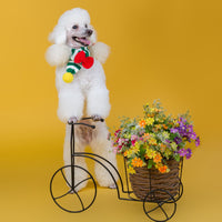 Handmade Woolen Pet Puppy Dog Warm Scarf