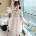 Girls Fashion Lace Embroidered Mesh Dress
