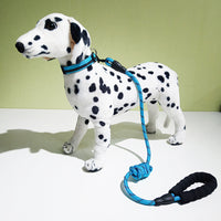 New Model Reflective Collar For Pet Dogs, With A Decorative Necklace And A Leash.
