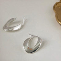 Geometric Mobius Iris Tectorum Earrings