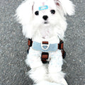 Dog Leash Vest Style Pet Chest Harness For Small And Medium-sized Dogs