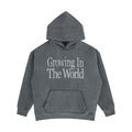 Street Fashion Hip Hop Embroidery Letters Hooded Loose Sweater