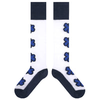 Summer Thin Breathable Transparent Glass Silk Socks Women