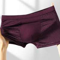 Casual Loose Mesh Ice Silk Men's Underwear