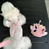 Pet's Chest-back Hand Holding Rope Small Dog