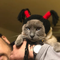 Creative Pet Funny Halloween Hood Hat