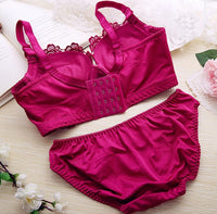 Lace Sexy Deep V Gather Underwear Without Steel Ring