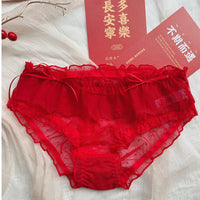 Fashion Lace Women's Quick-drying Mesh Briefs
