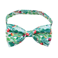 Fruit Pet Small Bow Tie Cactus Dog Cat Decorations