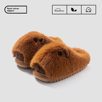 Autumn And Winter Fashionable Cartoon Plush Slippers