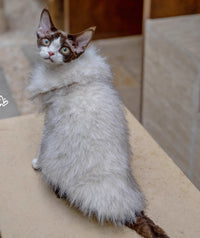 Faux Fox Fur Leather Shorthair Cat Hairless Clothing